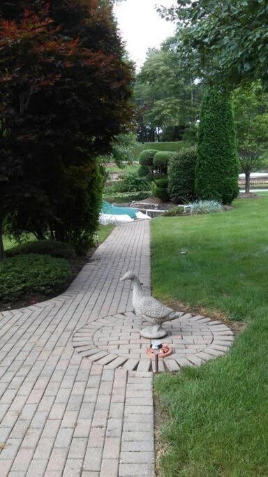 Private Guest Suite On The Portage Lakes Akron Exteriér fotografie